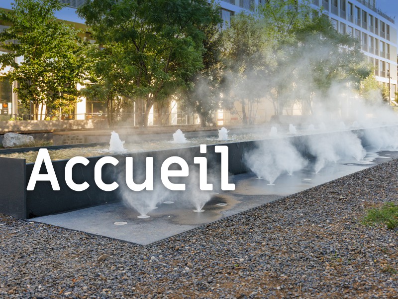 Accueil